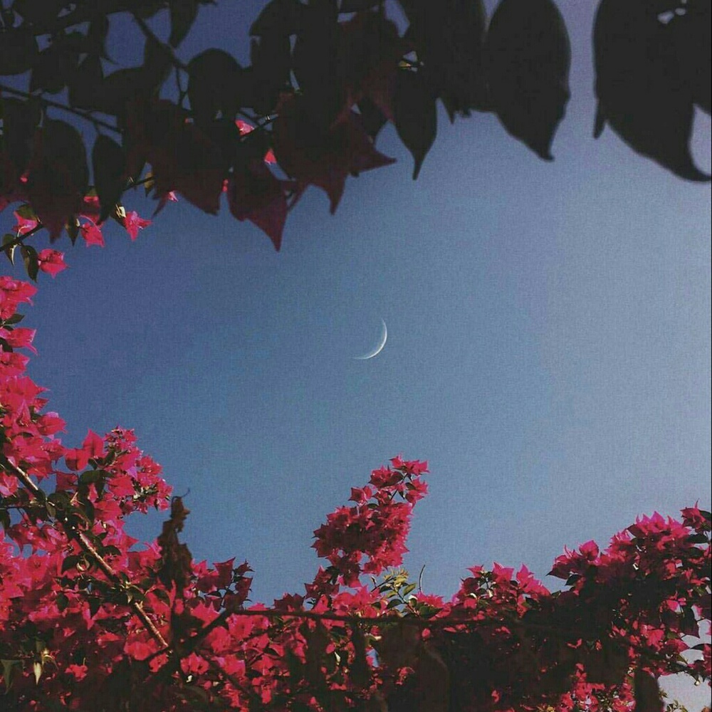 Meet your Posher, India